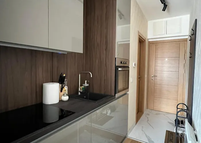 Mitra 兹拉蒂博尔